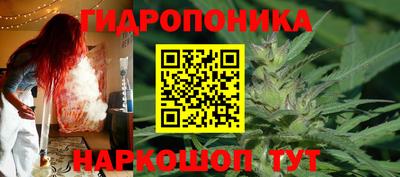 apvp Кунгур