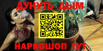 apvp Кунгур