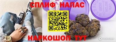 apvp Кунгур