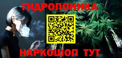 стаф Кулебаки